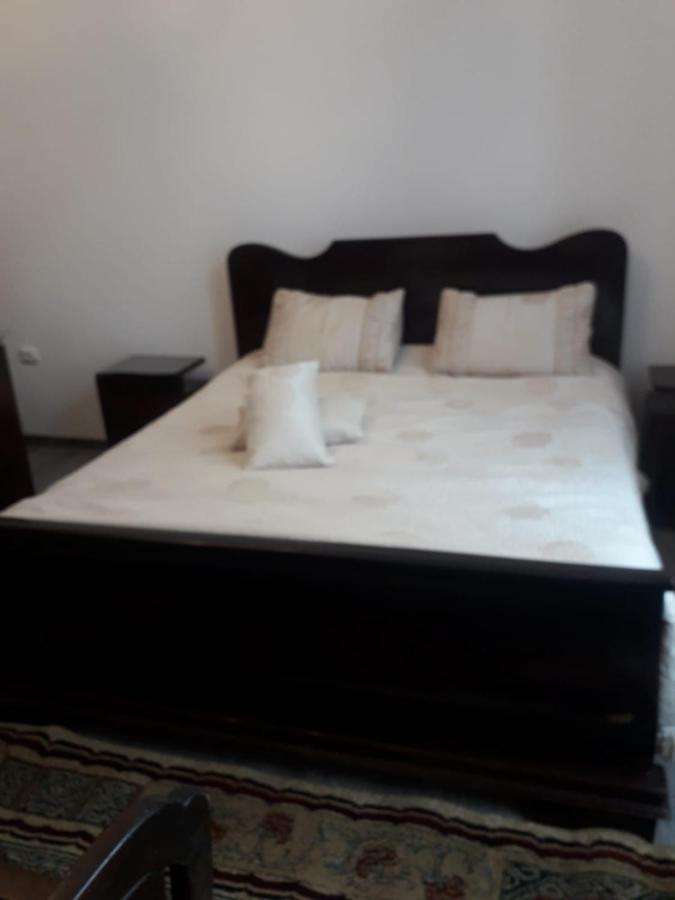 Casa Continentelor Hotel Câmpulung Buitenkant foto
